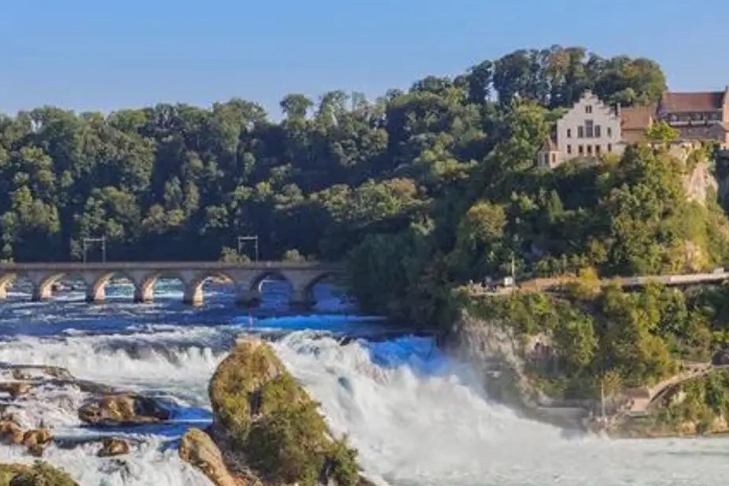 Black Forest and Rhine Falls Day Trip from Zurich